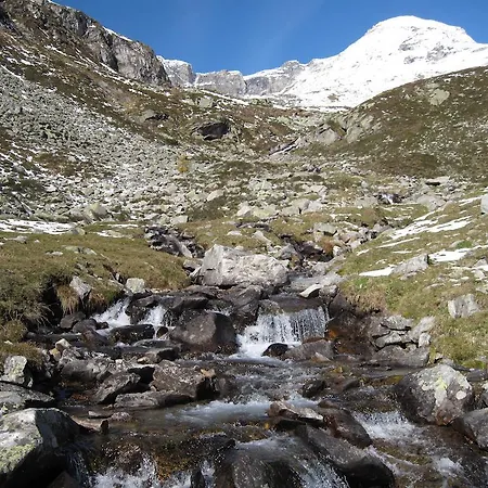 Steinlechner-meyer Elisabeth