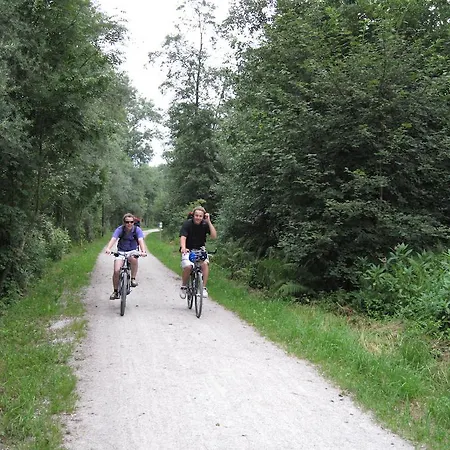 Lägenhet Steinlechner-meyer Elisabeth Stumm
