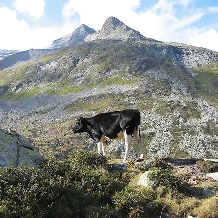 Lägenhet Steinlechner-meyer Elisabeth
