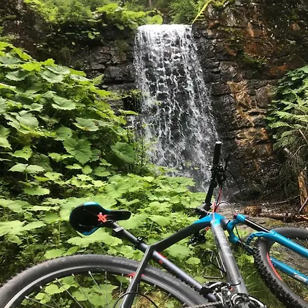 Steinlechner-meyer Elisabeth Stumm