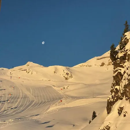 Steinlechner-meyer Elisabeth