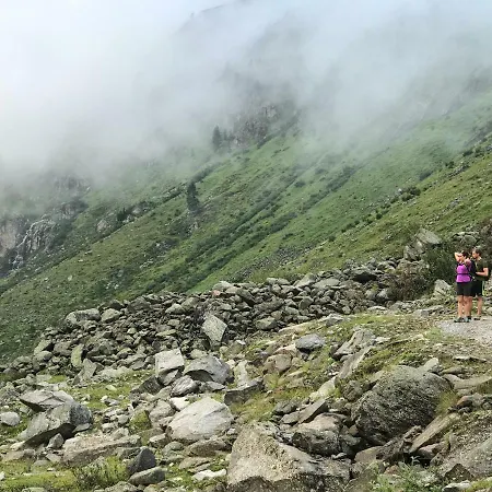 Steinlechner-meyer Elisabeth Stumm