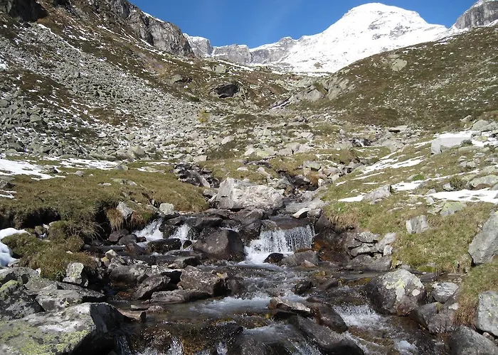 Steinlechner-meyer Elisabeth