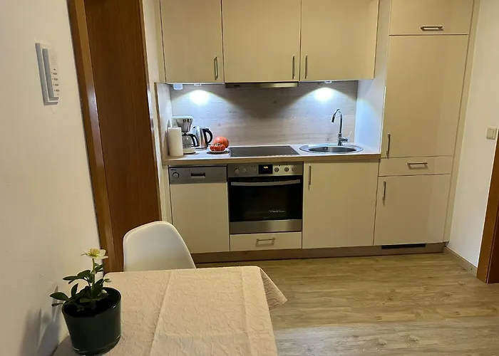 Steinlechner-meyer Elisabeth