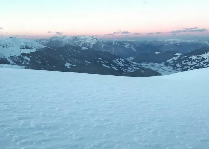 Steinlechner-meyer Elisabeth * ستام