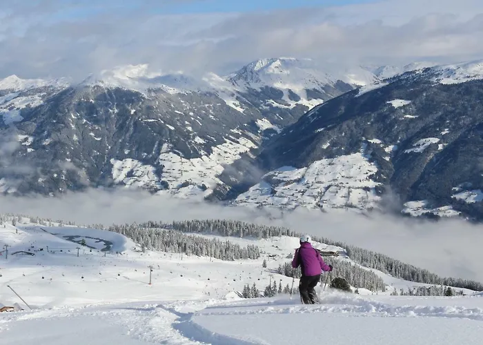 Steinlechner-meyer Elisabeth * ستام