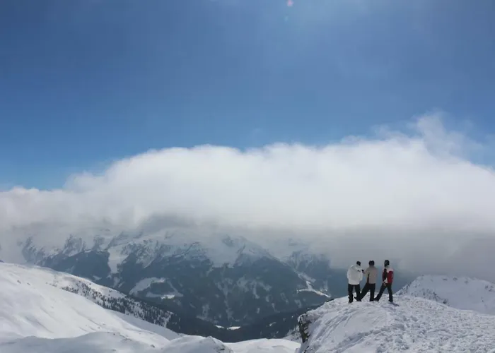 شقة Steinlechner-meyer Elisabeth ستام