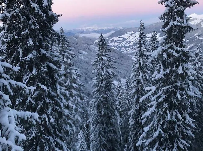 Steinlechner-meyer Elisabeth شقة ستام