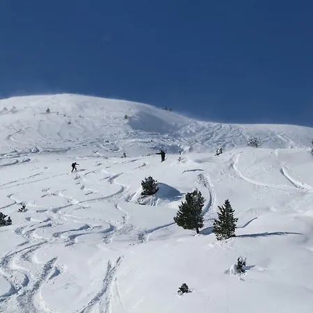 דירה Steinlechner-meyer Elisabeth שטום