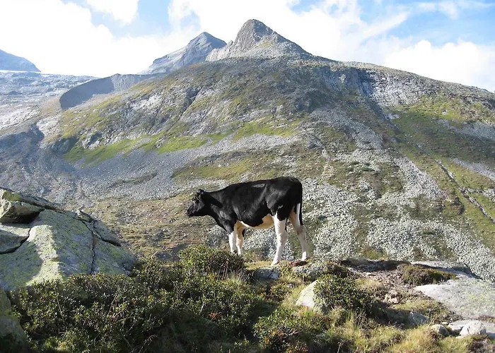 דירה Steinlechner-meyer Elisabeth