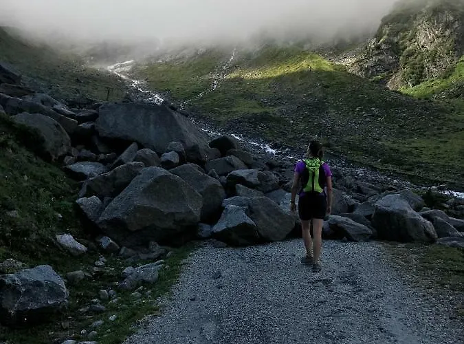 Steinlechner-meyer Elisabeth * שטום