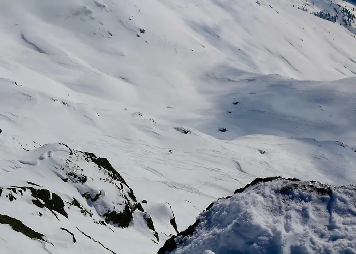 Steinlechner-meyer Elisabeth דירה