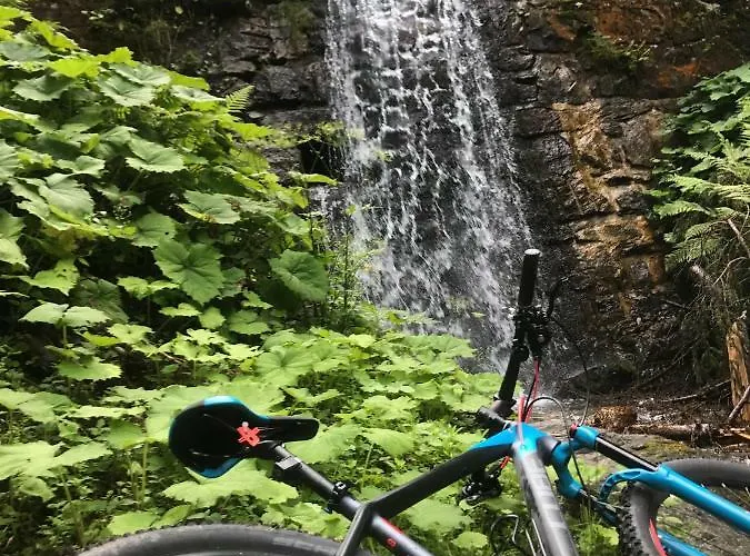 Steinlechner-meyer Elisabeth שטום