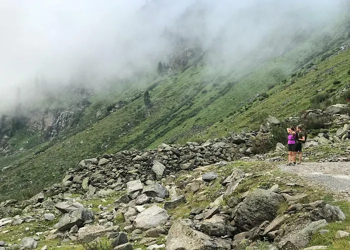 Steinlechner-meyer Elisabeth שטום