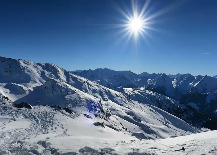 Steinlechner-meyer Elisabeth *