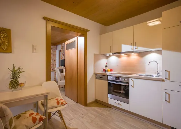 Steinlechner-meyer Elisabeth דירה שטום